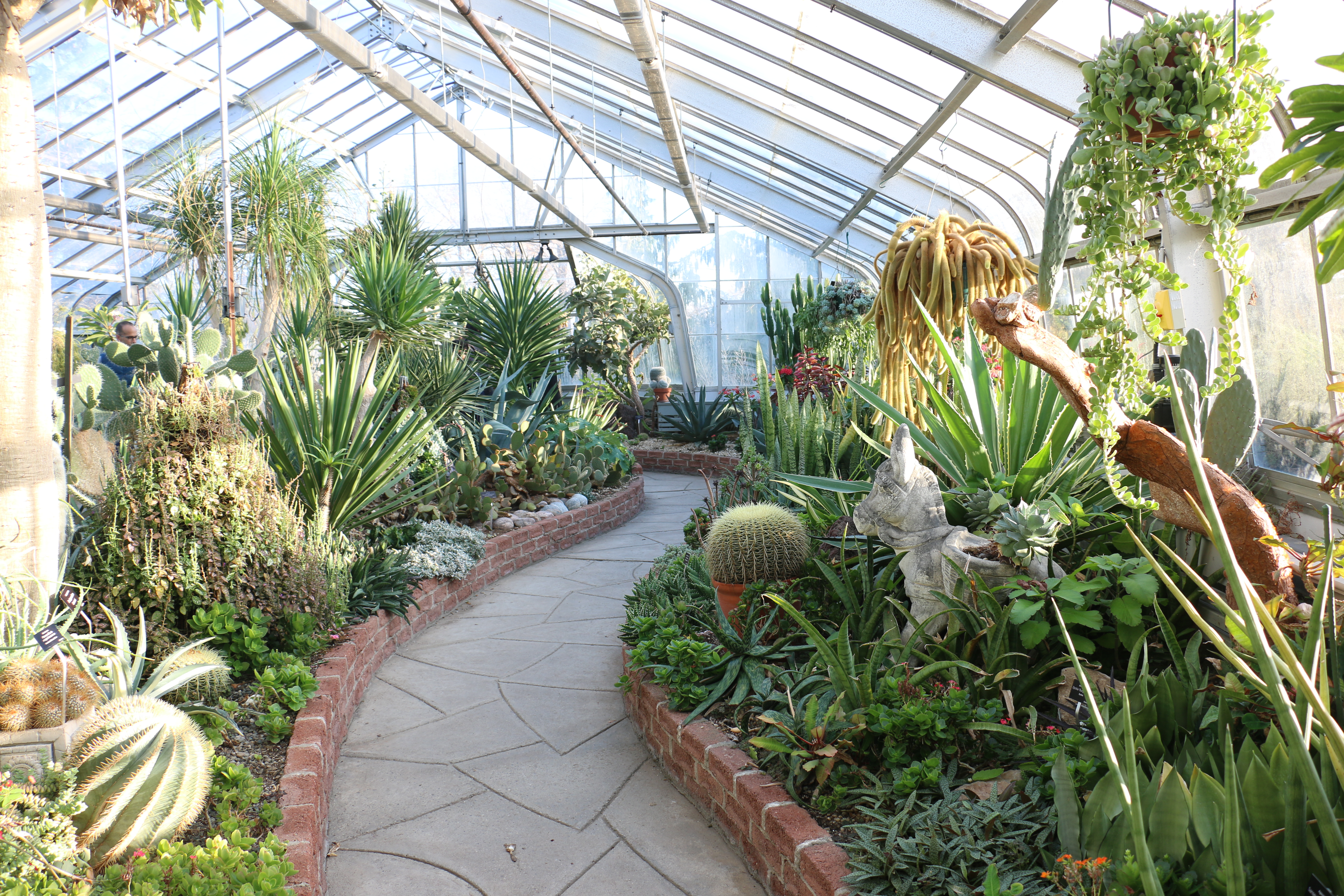 a-trip-to-the-centennial-park-conservatory